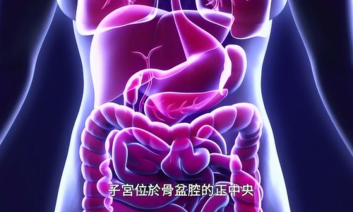 生姜贴肚子上能减大肚子吗-生姜贴肚子功效网 | 生姜贴肚脐能瘦肚子吗,生姜贴肚子功效作用