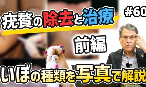 生姜贴肚子功效与作用-生姜贴肚子功效网 | 生姜贴肚脐能瘦肚子吗,生姜贴肚子功效作用